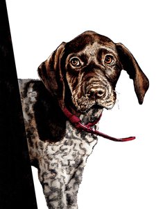 Bye Bye Puppy on White, 2020 od Mike Davis