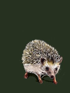 Kimchi The Hedgehog on Forest Green, 2020 od Mike Davis