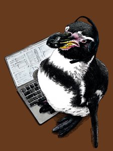 Nový Job Penguin na Burnt Orange, 2020