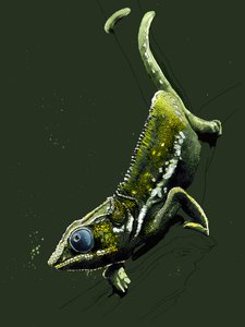 Chameleon na Forest Green, 2020 od Mike Davis