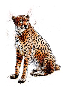 Gepard na bílém, 2020 od Mike Davis