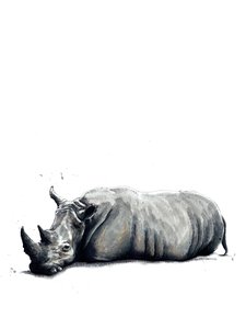 Nosorožec na bílém, 2019 od Mike Davis