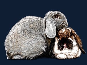 Thinking of Bunnies on Midnight Blue, 2020 od Mike Davis