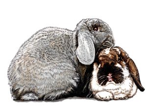 Thinking of Bunnies on White, 2020 od Mike Davis