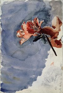 Červená azalka, 1886-1887 od Mikhail Aleksandrovich Vrubel
