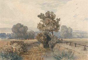 Scéna v Elmhamu, Norfolk