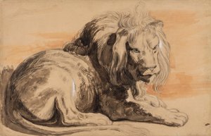 Rubens Lion, cca 1840 (křída, wc a kvaš na hnědém papíře)