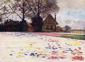 Hyacinty rozptýlené na písku (barva litho) od Mima Nixon