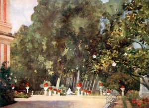 Strom magnólie, Aranjuez