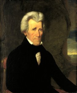 Andrew Jackson od Miner Kilbourne Kellogg
