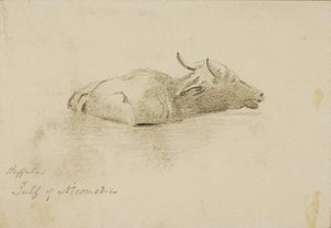 Buffalo, Nikomédský záliv od Miner Kilbourne Kellogg