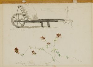 St. Valery-Blow-Wild Thyme od Miner Kilbourne Kellogg