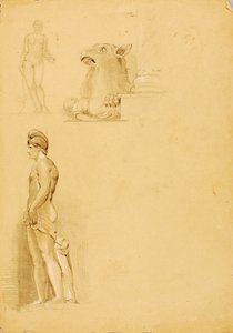 Studie Sculante od Miner Kilbourne Kellogg