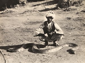 „Budování říše“ ve fašistickém věku: domorodec s krajtou, 09.05.1936 (černobílá fotografie) od Modestino Baldinetti