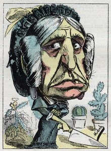 Alegorie "" nevlastní matky "" (Belle mere) v "" Le Trombinoscope"" od Touchatout, karikatura B. Molocha z roku 1882 (1849-1909). Soukromá sbírka. od Moloch