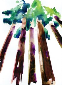 Sequoia, 2021 (akvarel na papíře Langton, 300 g/m2 lisovaném za studena) od Monica Perez Vega