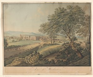 Pohled na Wiesbaden Vue de Wiesbaden (název na objektu) od Monogrammist DS (graveur)