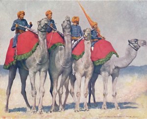 „Velbloud z Alwaru“, 1903 od Mortimer L Menpes