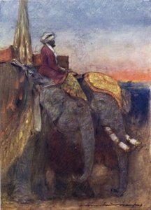Jaipur Elephants (barevné litho) od Mortimer Ludington Menpes