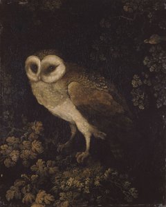 Sova, 1780-1790.