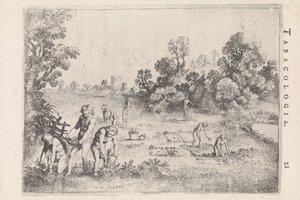 Domorodí Američané sbírají tabák od Moyses van Wtenbrouck