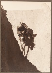 Snímek od Mullick Photo House