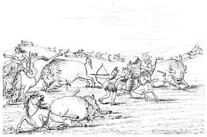 Domorodí Američané loví buvoly, 1841.