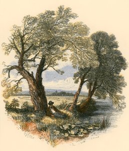 Sobotní procházky od Myles Birket Foster
