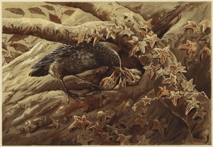Hlučná školka (litho)