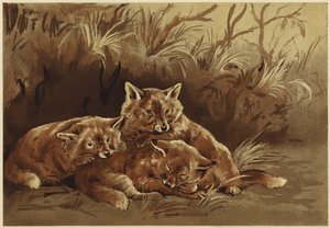 Doupě lupičů (litho)