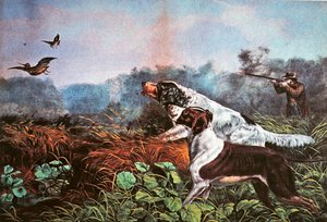 American Field Sports: Šance pro oba sudy od Currier and Ives