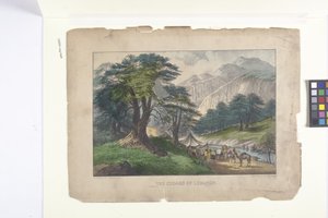 The Cedars Of Libanon (ručně kolorovaná litografie)