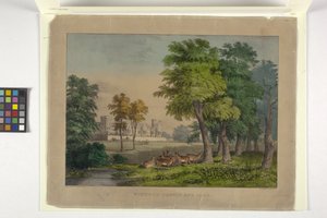 Windsor Castle And Park (ručně kolorovaná litografie)