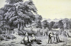 Currier & Ives ilustrace 19. století. Sklizeň od N. and Ives, J.M. Currier