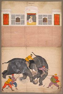 Dva sloni bojující na nádvoří před Muhammadem Shahem, c. 1730-40.