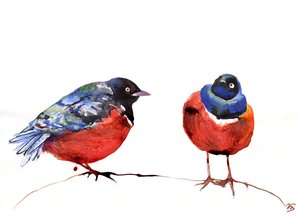 Chitchat, 2013, (inkoust na papíře)