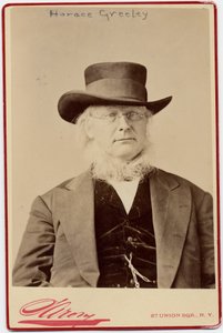 Horace Greeley (1811-72), americký politik a redaktor novin (foto alba) od Napoleon Sarony