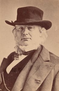 Portrét Horace Greeley 1811-1872, 1869. od Napoleon Sarony