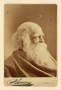 William Cullen Bryant od Napoleon Sarony