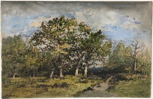 Krajina, c. 1860.