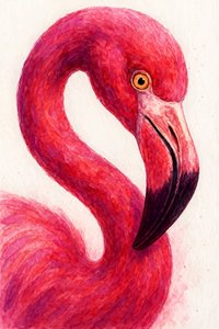 Elegantní růžový plameňák od Natalie Bruns