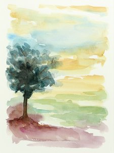 Západ slunce nad Lone Tree od Natalie Bruns