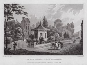 The New Sirphur Spring, Harrogate (rytina)