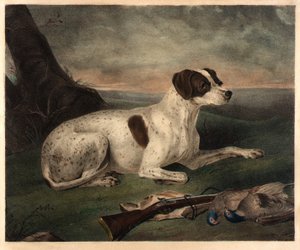 Juno od Nathaniel Currier