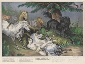 Mazeppa: Talíř 3 ze sady čtyř (4) talířů (Obklopeno divokými koňmi) od Nathaniel Currier