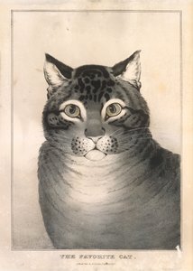 Oblíbená kočka, 1838-46., 1838-46.