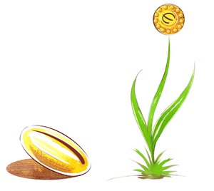 Seed and shoot - ilustrace finanční alegorie od Neale Osborne