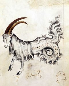 Sloane 3983, f.3v Znamení zvěrokruhu Kozoroh (vellum) od Netherlandish School