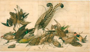 bez názvu (australští gamebirds) od Neville Henry Cayley