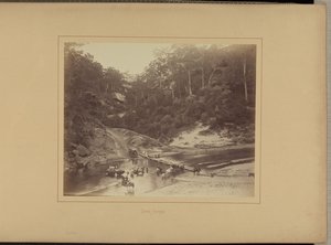 Upper Nepean od New South Wales Government Printing Office
